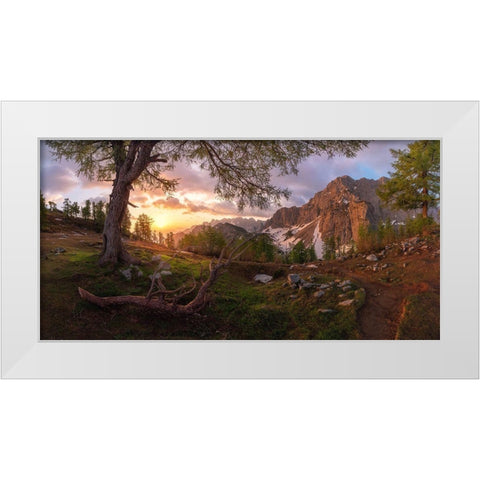 Magical Morning White Modern Wood Framed Art Print by Krivec, Ales