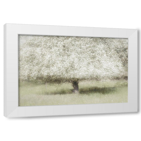 In The Backyard White Modern Wood Framed Art Print by Talen, Nel