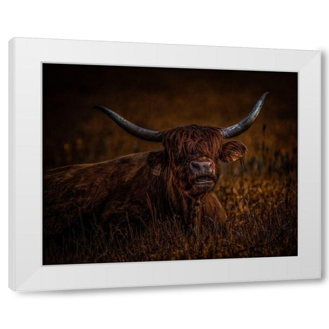 On A Break White Modern Wood Framed Art Print by Agazzi, Andreas