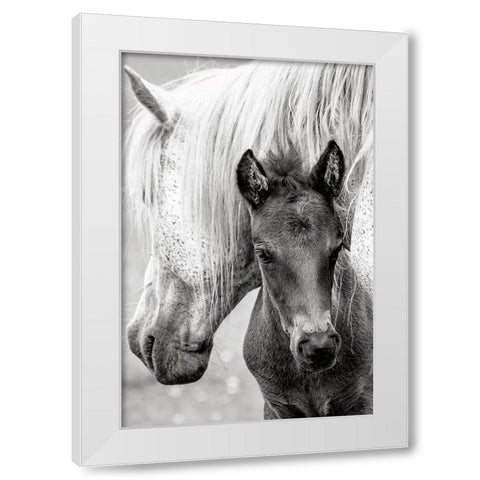 The Foal White Modern Wood Framed Art Print by Parker, Jacky