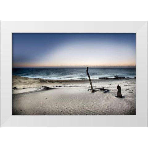 Reach For The Sun White Modern Wood Framed Art Print by Brackstone, Mel