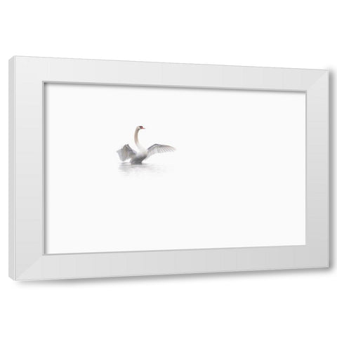 White White Modern Wood Framed Art Print by Bravin, Fabien