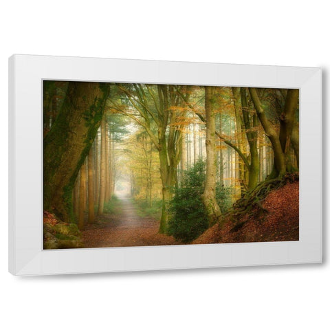 Following Fog White Modern Wood Framed Art Print by Borggreve, Ellen