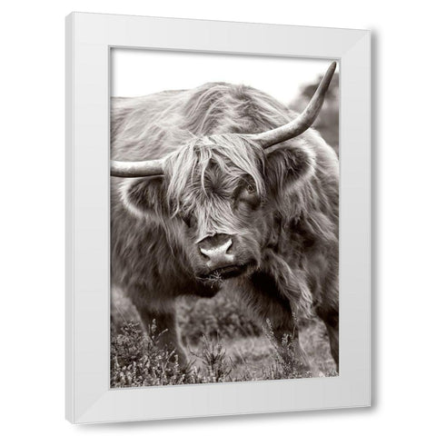 The Bull White Modern Wood Framed Art Print by Parker, Jacky