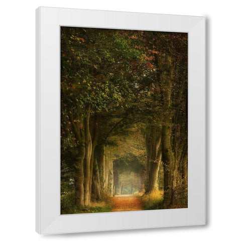 Daydreamer White Modern Wood Framed Art Print by Borggreve, Ellen