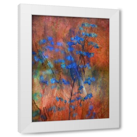 Colors Dance On Flowers White Modern Wood Framed Art Print by Devos, Delphine