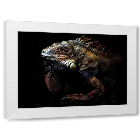 The Lost Evolution White Modern Wood Framed Art Print by Pascual Buye, Santiago
