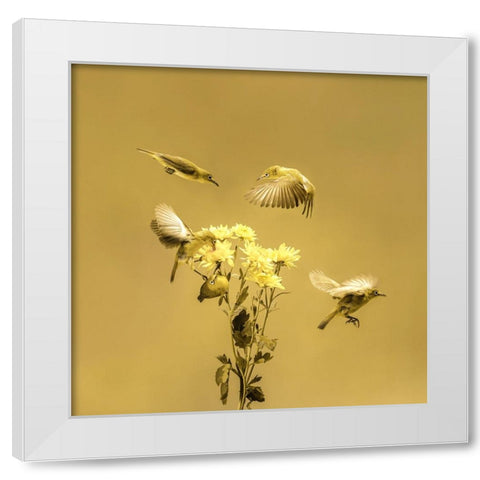 When The Morning Comes White Modern Wood Framed Art Print by Hardibudi