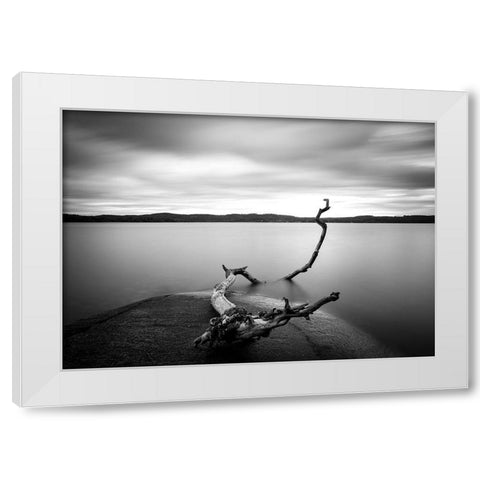Branch Long Exposure Lake White Modern Wood Framed Art Print by Lindsten, Christian