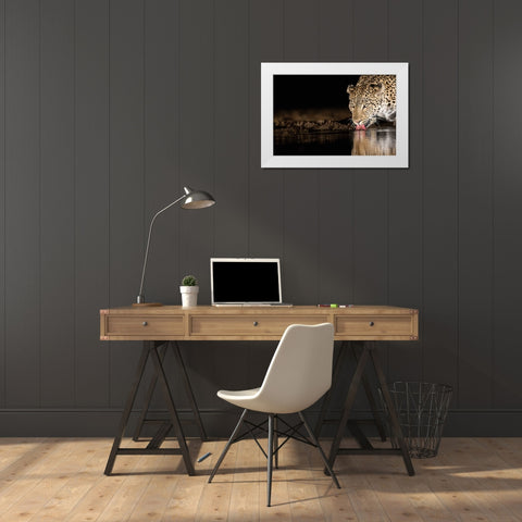 Eye Of The Tiger White Modern Wood Framed Art Print by Eichelberg, Amnon