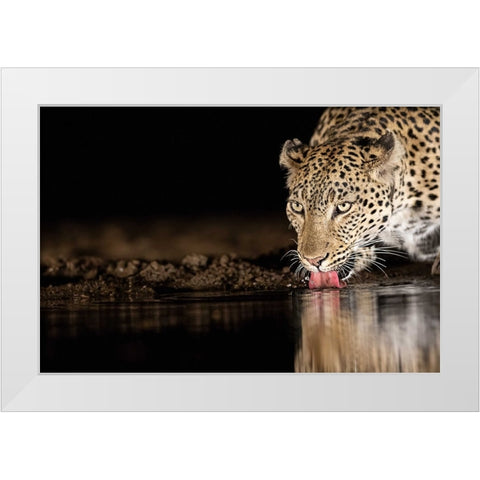 Eye Of The Tiger White Modern Wood Framed Art Print by Eichelberg, Amnon