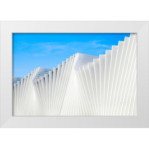 Il Ventaglio White Modern Wood Framed Art Print by Della Latta, Massimo