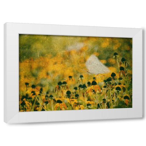 End Of Summer White Modern Wood Framed Art Print by Devos, Delphine