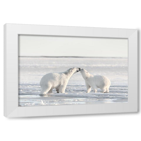 Morning Celebration White Modern Wood Framed Art Print by Itoyama, Eiji