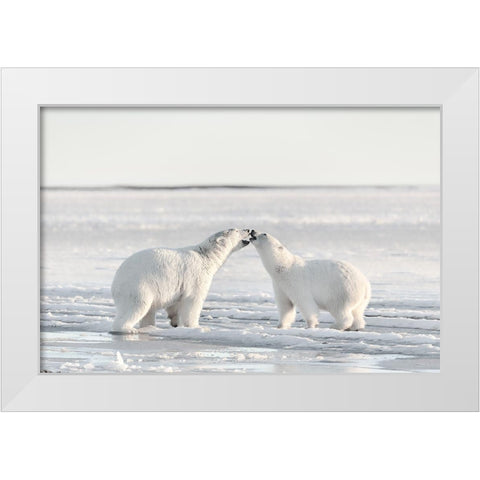 Morning Celebration White Modern Wood Framed Art Print by Itoyama, Eiji