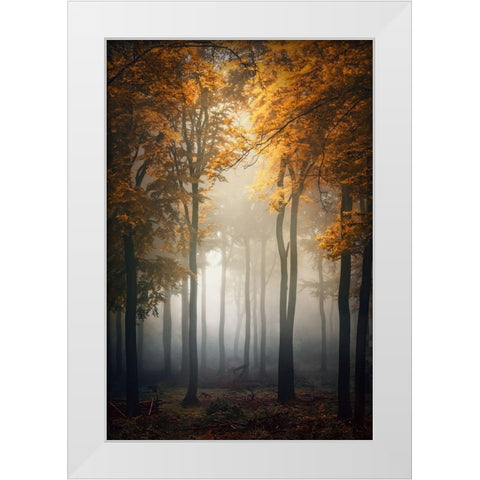 Fall White Modern Wood Framed Art Print by Aurednik, Patrick