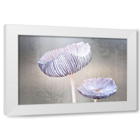 Mushroom White Modern Wood Framed Art Print by Cseresnjes, Anna