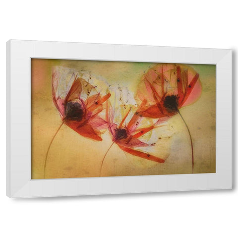 Poppy Seeds White Modern Wood Framed Art Print by Talen, Nel