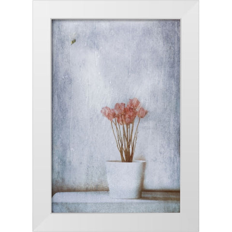 When Summers Gone... White Modern Wood Framed Art Print by Devos, Delphine