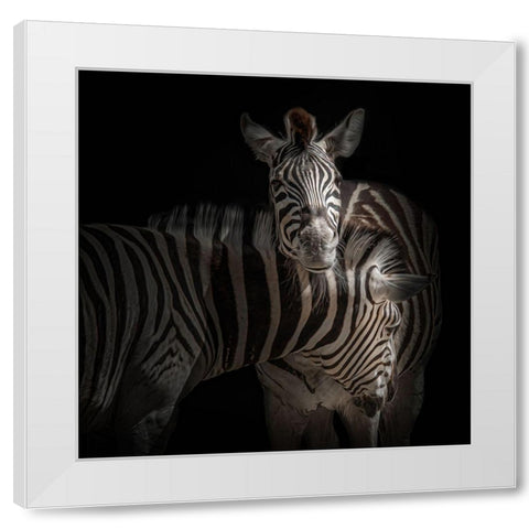 ... Zebra White Modern Wood Framed Art Print by Vollrath, Jorg