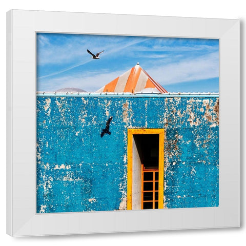 The Seagull White Modern Wood Framed Art Print by Della Latta, Massimo