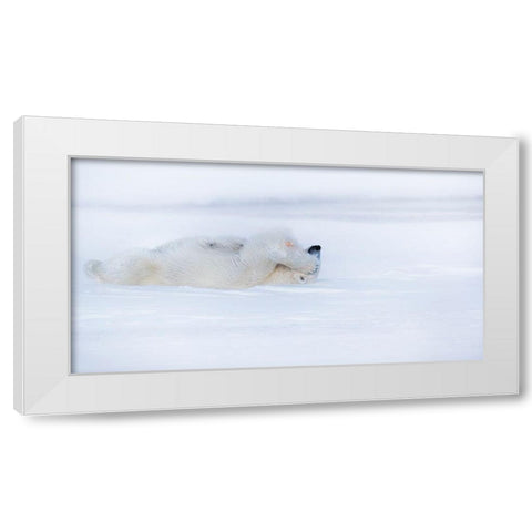 Shy White Modern Wood Framed Art Print by Chang, Phillip
