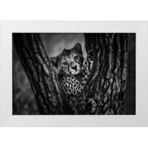 Centered White Modern Wood Framed Art Print by Alnaser, Mohammed