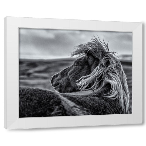 Glance Back White Modern Wood Framed Art Print by Ding, Sunny