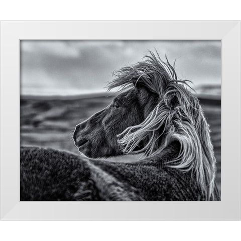 Glance Back White Modern Wood Framed Art Print by Ding, Sunny