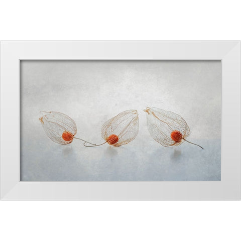 Chinese Lantern White Modern Wood Framed Art Print by Veenstra, Ytje