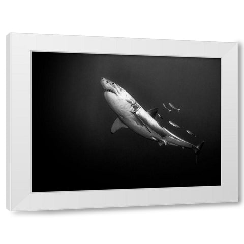 The Great One White Modern Wood Framed Art Print by Melesan, Serge