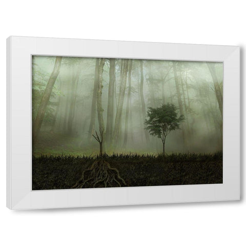 Root 2 White Modern Wood Framed Art Print by Golchin, Aryana