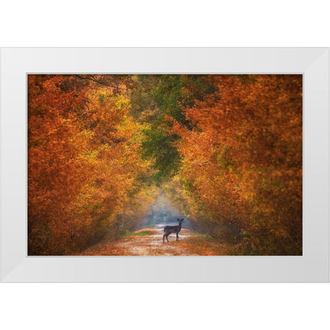 Autumn Fantasy White Modern Wood Framed Art Print by Cantemir, Mandru
