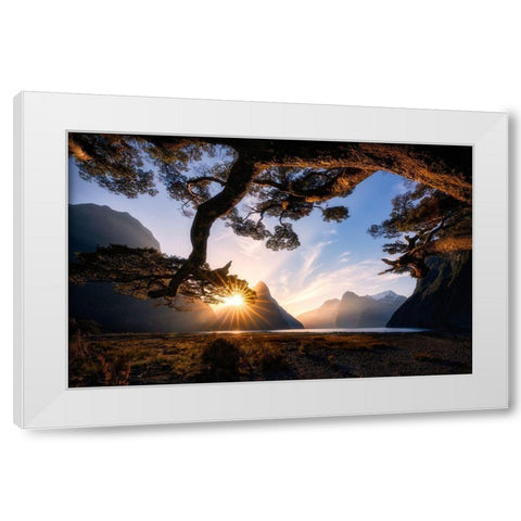Sunny Day In Milford Sound White Modern Wood Framed Art Print by Zhu, Jingshu