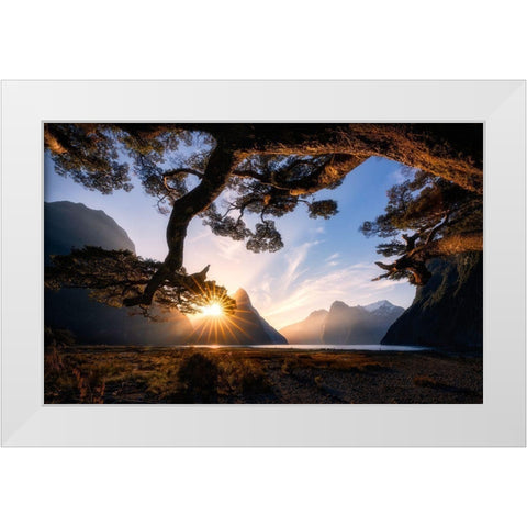 Sunny Day In Milford Sound White Modern Wood Framed Art Print by Zhu, Jingshu