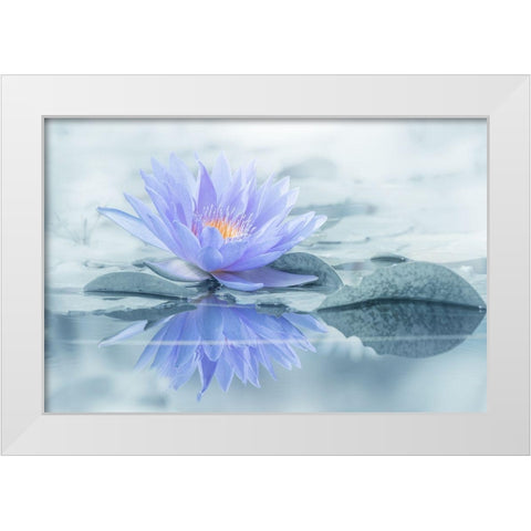 Reflection White Modern Wood Framed Art Print by Suzuki, Takashi