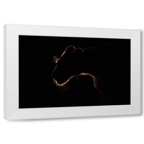 Untitled White Modern Wood Framed Art Print by Eichelberg, Amnon