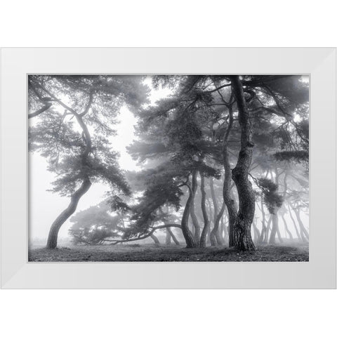 Endure For A Hundred Years White Modern Wood Framed Art Print by Seo, Tiger