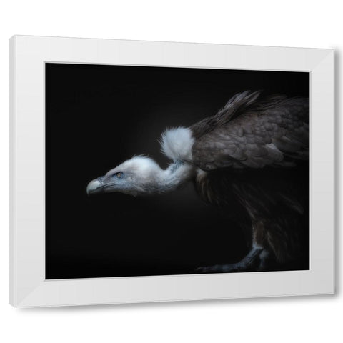 Targeted White Modern Wood Framed Art Print by Kamera