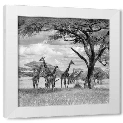 The Tower! White Modern Wood Framed Art Print by Khataw, Ali