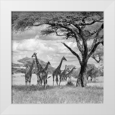 The Tower! White Modern Wood Framed Art Print by Khataw, Ali