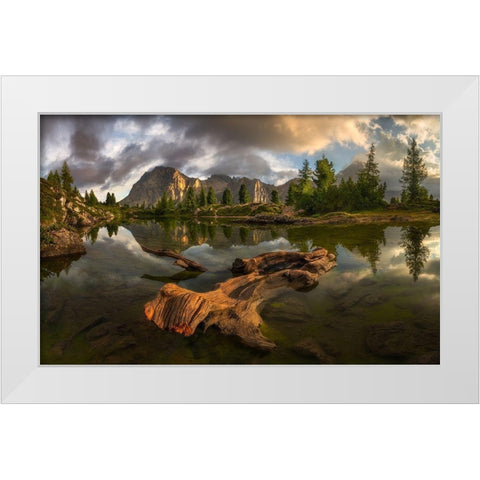 Untitled White Modern Wood Framed Art Print by Rojek, Tomasz