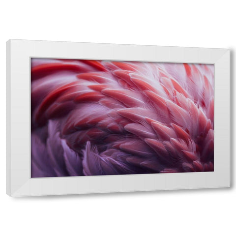 Flamingo White Modern Wood Framed Art Print by Beata, Angyalosi