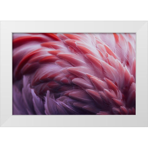 Flamingo White Modern Wood Framed Art Print by Beata, Angyalosi