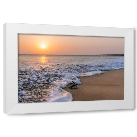 Green Turtle White Modern Wood Framed Art Print by Al Farsi, Haitham