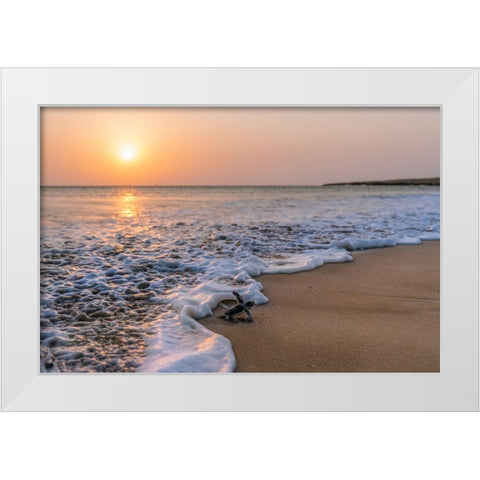 Green Turtle White Modern Wood Framed Art Print by Al Farsi, Haitham