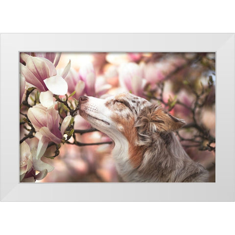 Dawn Of Blossom White Modern Wood Framed Art Print by Shandor, Ve
