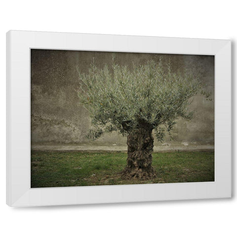 Olive White Modern Wood Framed Art Print by Irmawarth