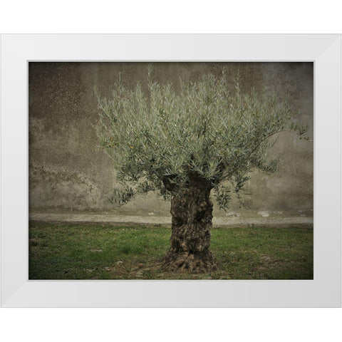 Olive White Modern Wood Framed Art Print by Irmawarth