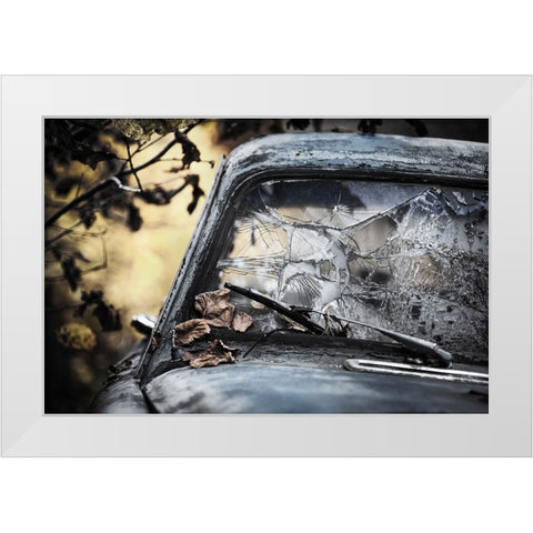 Broken White Modern Wood Framed Art Print by Pettersson, Benny